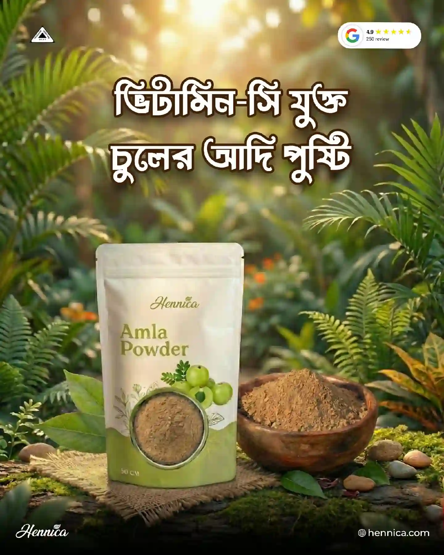 Amla Powder